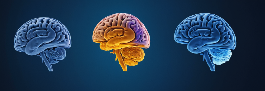 scienza del sonno e meditazione